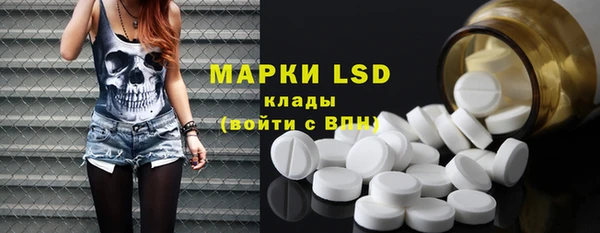 молекула духа Богданович