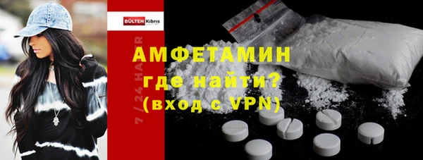 молекула духа Богданович