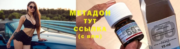 молекула духа Богданович