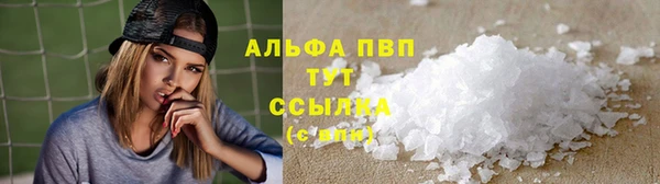 прущие грибы Богородск