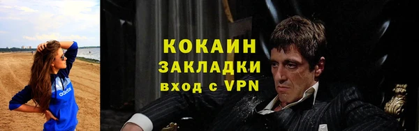 молекула духа Богданович