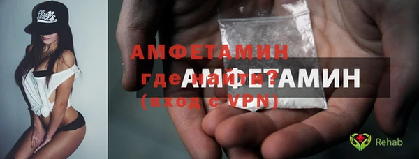 молекула духа Богданович