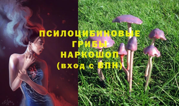 молекула духа Богданович