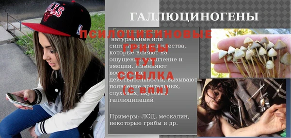 молекула духа Богданович