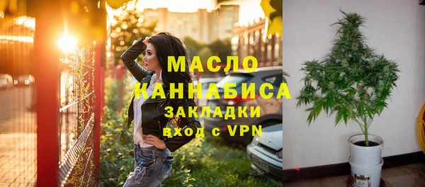 молекула духа Богданович