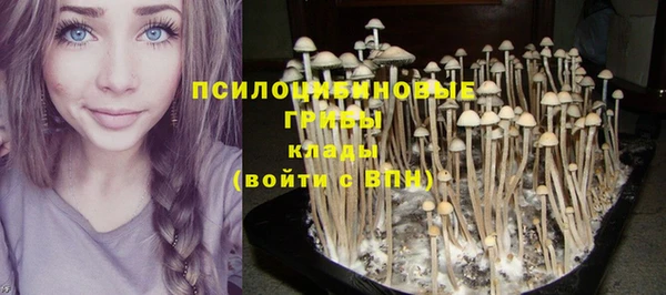 альфа пвп Бугульма