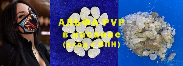 прущие грибы Богородск