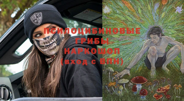 молекула духа Богданович