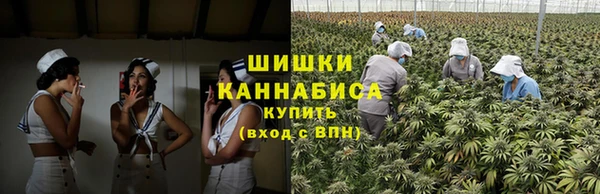 молекула духа Богданович