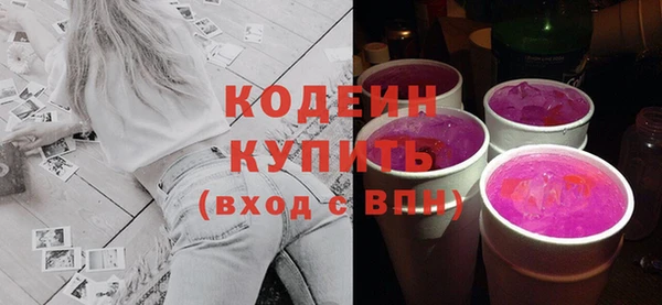 молекула духа Богданович