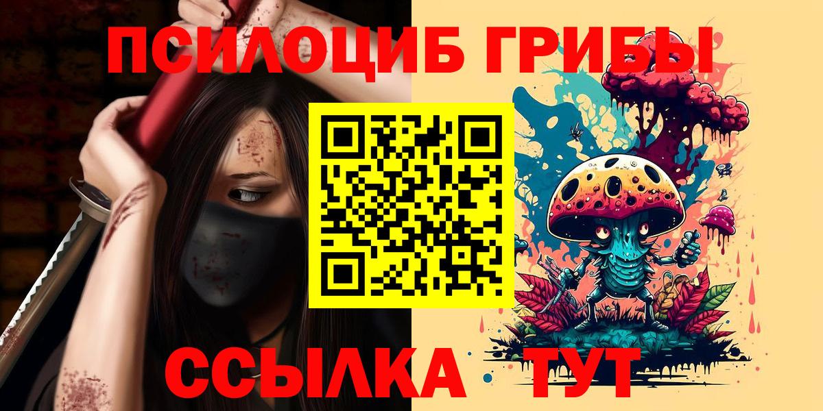 Галлюциногенные грибы Psilocybe  Гай  Галлюциногенные грибы Psilocybe 