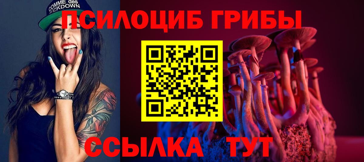 Галлюциногенные грибы Psilocybe  Вход с VPN  Гай 